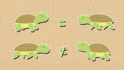 I WONDER - Are Tortoises Turtles? Instructional Video