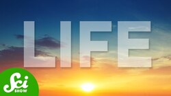 The Real Reason the Sky is Blue Instructional Video