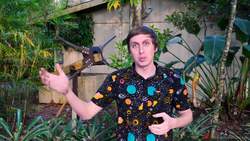 Is your campfire trying to kill you? Exploding Rocks & Concrete Instructional Video