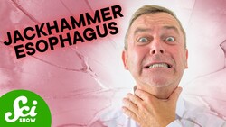 We Don't Know What Causes the World's Worst Pain Instructional Video