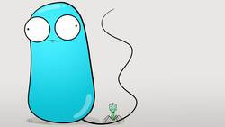 Microscopes and How to Use a Light Microscope Instructional Video