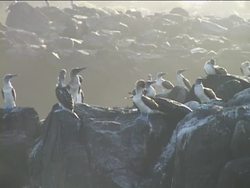 Weather Around Us: Moisture Instructional Video