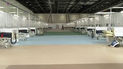 New NHS Nightingale hospital beds in Excel Centre News Clip