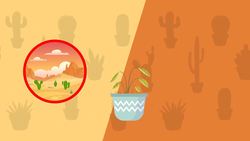 Weird Plants for Kids Instructional Video