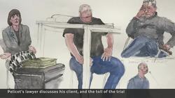 Gisèle Pelicot's lawyer describes her courage in facing rapists in court News Clip