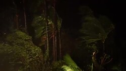 Hurricane Hits At Night Powerful Wind Lashes Trees Stock Footage