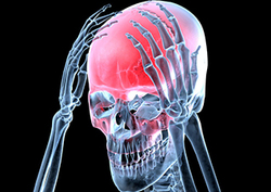 El alcohol y el cerebro Instructional Video