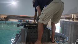 Turtle found washed up on Scottish beach released into the wild 18 months later News Clip