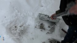 How Edmonton got 10,000 homeless people off the streets News Clip