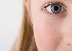 How do we see? Instructional Video