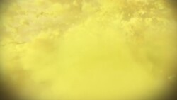 Venus in a Minute Instructional Video