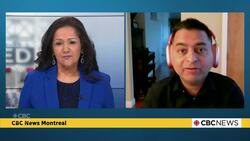 Will Canadian counter-tariffs cause more harm than good? News Clip