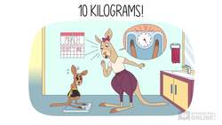 The Life Stage Series: Mental Development - Rocky Weighs In Instructional Video