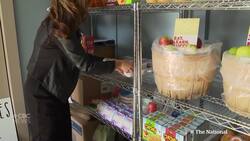 Provinces urged to sign on to national school food program Instructional Video