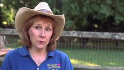 How to Set Up a Cage for a Guinea Pig Instructional Video