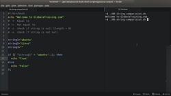 Bash Shell Scripting - String Comparison Operators Instructional Video