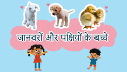 Cute Baby Animals - Little Wildlife Wonders - Hindi Instructional Video