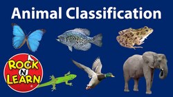Animal Classification for Kids Instructional Video