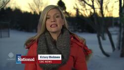 Fire hero's reunion News Clip