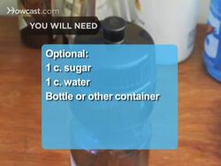 How to Make an Emerald City Instructional Video