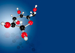 Carbohidrato Instructional Video