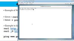 Linux Network Administration - curl and ping Commands Instructional Video