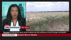 Ukraine, Russia set to sign grain export deal News Clip