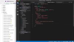 The Complete React Developer Course (with Hooks and Redux) - Webpack Dev Server Instructional Video
