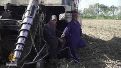 Cuba sanctions: Sugar production grinding to halt News Clip