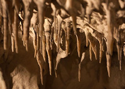 Limestone: Features Instructional Video