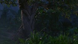 PAN UP OF TREE WITH GOLDEN APPLES OR FRUIT. LUSH FOREST WITH MIST. FERNS AND PLANTS. COULD BE GARDEN OF EDEN OR PARADISE. Stock Footage