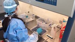 Making Headlines: £5,000 fine for breaching foreign holiday ban plus New York Covid variant detected News Clip