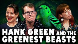 Which Green Reigns Supreme Instructional Video