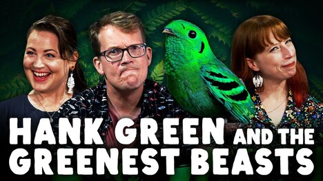 Which Green Reigns Supreme