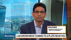 The Startup Serving Cell-Based Meat to a Plate Near You News Clip