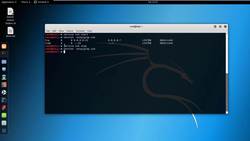 Explore Main Services and Install Necessary Programs Instructional Video