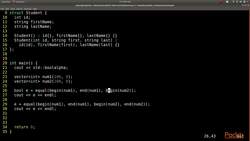 C++ Standard Template Library in Practice - Sequence Algorithms - equals Instructional Video
