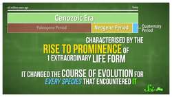 A Brief History of Life: Rise of the Humans Instructional Video