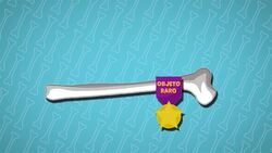 I WONDER - How Common Are Fossils? Me Pregunto - Qué Tan Comunes Son Los Fósiles? Instructional Video