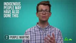 We Can't Live Without You | Synanthropic Animals Instructional Video