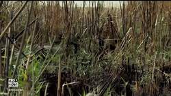 Why Iraq's Biblical Paradise Is Becoming A Salty Wasteland News Clip