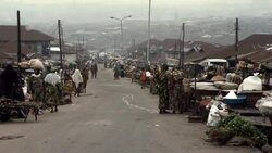 KILL OR CURE - Saving Lives Instructional Video