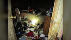 Suffolk SPCA: Centereach man kept 11 dogs in deplorable conditions News Clip