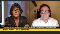 'It wasn't just predictable, it was predicted,' says British MP of Taliban takeover in Afghanistan News Clip