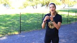 How to Run Faster with Fartlek, Tempo & Hill Training Instructional Video