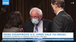 Progressive Democrats Aim To Stop $735M U.S. Arms Sale To Israel News Clip