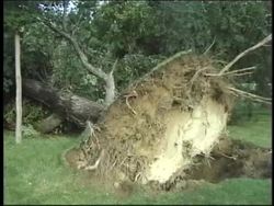 Force and Newton's Laws: Introduction Instructional Video