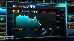 EM Is 'Sheltered' From Strong Dollar: Pimco News Clip