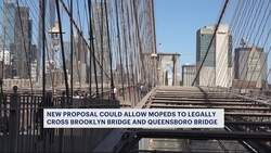 New proposal would allow mopeds on Brooklyn, Queensboro Bridges News Clip