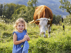 The Power of Mindfulness Instructional Video